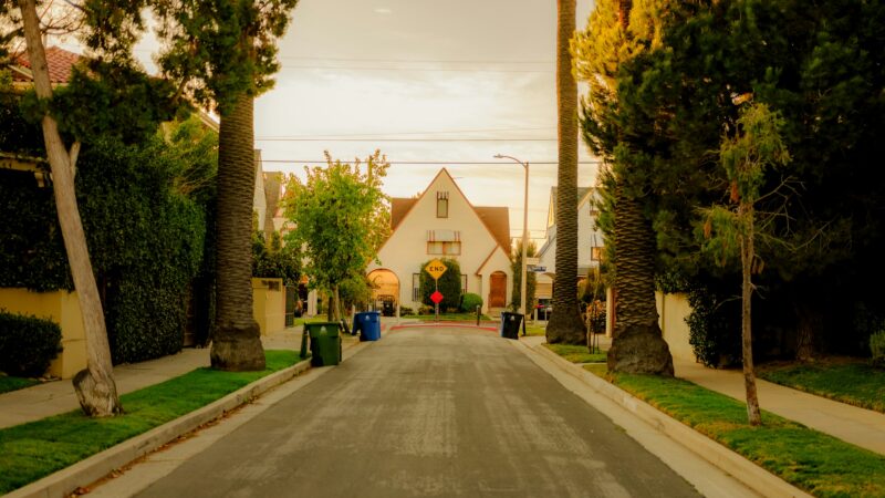 A palm-lined residential street in Los Angeles